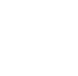 2nd Amendment Style